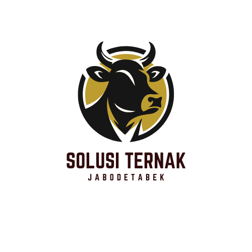 solusiternak.com